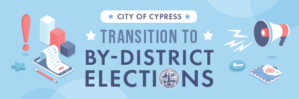 By District Elections