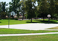 maple grove north basketball court