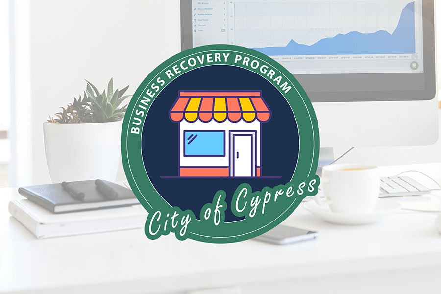 BusinessRecoveryProgram